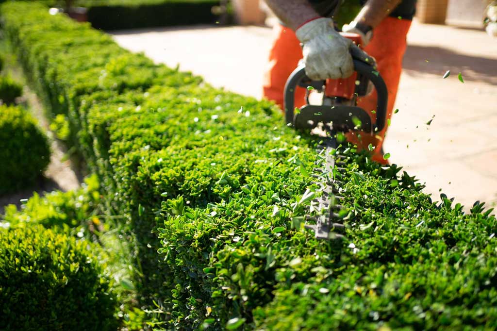 Garden Maintenance Dubai Hills, Garden Care ServicesDubai Hills, Lawn Maintenance Dubai Hills, Landscape Maintenance Dubai Hills, Professional Gardeners Dubai Hills, Irrigation System Installation Dubai Hills, Tree Pruning Dubai Hills, Garden Landscaping Services Dubai Hills, Lawn Care Services Dubai Hills, Garden Irrigation Dubai Artificial Grass Maintenance Dubai Hills, Garden Design Dubai Hills, Landscape Design Dubai Hills, Garden Fertilization Services Dubai Hills, Residential Garden Maintenance Dubai Hills, Commercial Garden Maintenance Dubai Hills, Garden Cleaning Dubai Hills, Planting & Garden Design Dubai Hills, Landscape Renovations Dubai Hills, Garden Maintenance Companies Dubai Hills, Lawn Mowing Services Dubai Hills, Tree Trimming Dubai Hills, Garden Pest Control Dubai Hills, Green Lawn Services Dubai Hills, Dubai Hills Garden Maintenance Dubai Hills, Regular Garden Maintenance Dubai Hills, Outdoor Garden Services Dubai Hills, Sustainable Garden Maintenance Dubai Hills, Seasonal Garden Care Dubai Hills, Professional Lawn Care Services Dubai Hills, Garden Maintenance Dubai Hills, Garden Care ServicesDubai Hills, Lawn Maintenance Dubai Hills, Landscape Maintenance Dubai Hills, Professional Gardeners Dubai Hills, Irrigation System Installation Dubai Hills, Tree Pruning Dubai Hills, Garden Landscaping Services Dubai Hills, Lawn Care Services Dubai Hills, Garden Irrigation Dubai Artificial Grass Maintenance Dubai Hills, Garden Design Dubai Hills, Landscape Design Dubai Hills, Garden Fertilization Services Dubai Hills, Residential Garden Maintenance Dubai Hills, Commercial Garden Maintenance Dubai Hills, Garden Cleaning Dubai Hills, Planting & Garden Design Dubai Hills, Landscape Renovations Dubai Hills, Garden Maintenance Companies Dubai Hills, Lawn Mowing Services Dubai Hills, Tree Trimming Dubai Hills, Garden Pest Control Dubai Hills, Green Lawn Services Dubai Hills, Dubai Hills Garden Maintenance Dubai Hills, Regular Garden Maintenance Dubai Hills, Outdoor Garden Services Dubai Hills, Sustainable Garden Maintenance Dubai Hills, Seasonal Garden Care Dubai Hills, Professional Lawn Care Services Dubai Hills,