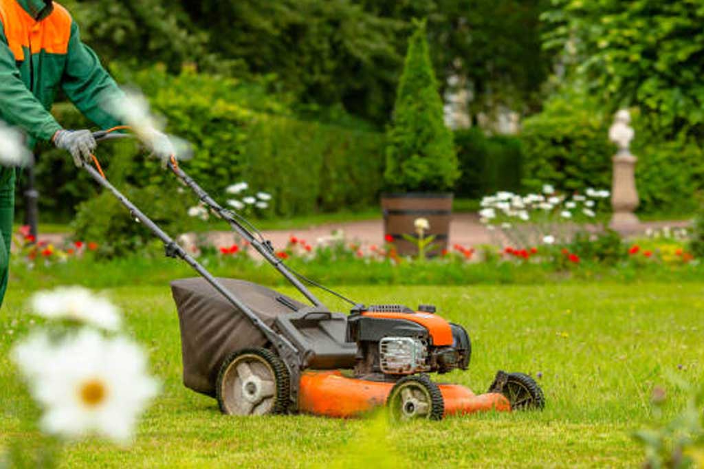 Garden Maintenance Dubai Hills, Garden Care ServicesDubai Hills, Lawn Maintenance Dubai Hills, Landscape Maintenance Dubai Hills, Professional Gardeners Dubai Hills, Irrigation System Installation Dubai Hills, Tree Pruning Dubai Hills, Garden Landscaping Services Dubai Hills, Lawn Care Services Dubai Hills, Garden Irrigation Dubai Artificial Grass Maintenance Dubai Hills, Garden Design Dubai Hills, Landscape Design Dubai Hills, Garden Fertilization Services Dubai Hills, Residential Garden Maintenance Dubai Hills, Commercial Garden Maintenance Dubai Hills, Garden Cleaning Dubai Hills, Planting & Garden Design Dubai Hills, Landscape Renovations Dubai Hills, Garden Maintenance Companies Dubai Hills, Lawn Mowing Services Dubai Hills, Tree Trimming Dubai Hills, Garden Pest Control Dubai Hills, Green Lawn Services Dubai Hills, Dubai Hills Garden Maintenance Dubai Hills, Regular Garden Maintenance Dubai Hills, Outdoor Garden Services Dubai Hills, Sustainable Garden Maintenance Dubai Hills, Seasonal Garden Care Dubai Hills, Professional Lawn Care Services Dubai Hills, Garden Maintenance Dubai Hills, Garden Care ServicesDubai Hills, Lawn Maintenance Dubai Hills, Landscape Maintenance Dubai Hills, Professional Gardeners Dubai Hills, Irrigation System Installation Dubai Hills, Tree Pruning Dubai Hills, Garden Landscaping Services Dubai Hills, Lawn Care Services Dubai Hills, Garden Irrigation Dubai Artificial Grass Maintenance Dubai Hills, Garden Design Dubai Hills, Landscape Design Dubai Hills, Garden Fertilization Services Dubai Hills, Residential Garden Maintenance Dubai Hills, Commercial Garden Maintenance Dubai Hills, Garden Cleaning Dubai Hills, Planting & Garden Design Dubai Hills, Landscape Renovations Dubai Hills, Garden Maintenance Companies Dubai Hills, Lawn Mowing Services Dubai Hills, Tree Trimming Dubai Hills, Garden Pest Control Dubai Hills, Green Lawn Services Dubai Hills, Dubai Hills Garden Maintenance Dubai Hills, Regular Garden Maintenance Dubai Hills, Outdoor Garden Services Dubai Hills, Sustainable Garden Maintenance Dubai Hills, Seasonal Garden Care Dubai Hills, Professional Lawn Care Services Dubai Hills,