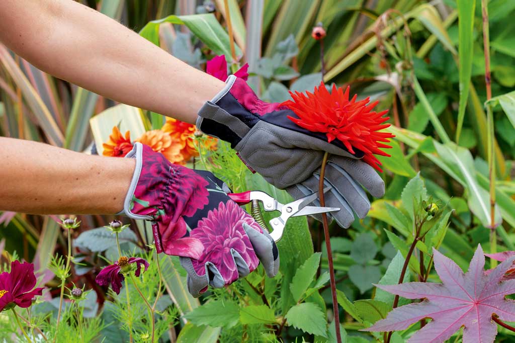 Garden Maintenance Dubai Hills, Garden Care ServicesDubai Hills, Lawn Maintenance Dubai Hills, Landscape Maintenance Dubai Hills, Professional Gardeners Dubai Hills, Irrigation System Installation Dubai Hills, Tree Pruning Dubai Hills, Garden Landscaping Services Dubai Hills, Lawn Care Services Dubai Hills, Garden Irrigation Dubai Artificial Grass Maintenance Dubai Hills, Garden Design Dubai Hills, Landscape Design Dubai Hills, Garden Fertilization Services Dubai Hills, Residential Garden Maintenance Dubai Hills, Commercial Garden Maintenance Dubai Hills, Garden Cleaning Dubai Hills, Planting & Garden Design Dubai Hills, Landscape Renovations Dubai Hills, Garden Maintenance Companies Dubai Hills, Lawn Mowing Services Dubai Hills, Tree Trimming Dubai Hills, Garden Pest Control Dubai Hills, Green Lawn Services Dubai Hills, Dubai Hills Garden Maintenance Dubai Hills, Regular Garden Maintenance Dubai Hills, Outdoor Garden Services Dubai Hills, Sustainable Garden Maintenance Dubai Hills, Seasonal Garden Care Dubai Hills, Professional Lawn Care Services Dubai Hills, Garden Maintenance Dubai Hills, Garden Care ServicesDubai Hills, Lawn Maintenance Dubai Hills, Landscape Maintenance Dubai Hills, Professional Gardeners Dubai Hills, Irrigation System Installation Dubai Hills, Tree Pruning Dubai Hills, Garden Landscaping Services Dubai Hills, Lawn Care Services Dubai Hills, Garden Irrigation Dubai Artificial Grass Maintenance Dubai Hills, Garden Design Dubai Hills, Landscape Design Dubai Hills, Garden Fertilization Services Dubai Hills, Residential Garden Maintenance Dubai Hills, Commercial Garden Maintenance Dubai Hills, Garden Cleaning Dubai Hills, Planting & Garden Design Dubai Hills, Landscape Renovations Dubai Hills, Garden Maintenance Companies Dubai Hills, Lawn Mowing Services Dubai Hills, Tree Trimming Dubai Hills, Garden Pest Control Dubai Hills, Green Lawn Services Dubai Hills, Dubai Hills Garden Maintenance Dubai Hills, Regular Garden Maintenance Dubai Hills, Outdoor Garden Services Dubai Hills, Sustainable Garden Maintenance Dubai Hills, Seasonal Garden Care Dubai Hills, Professional Lawn Care Services Dubai Hills,